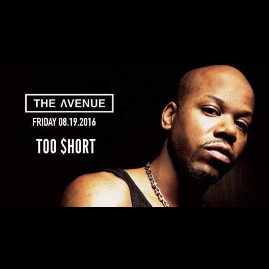 too short the avenue 2016
