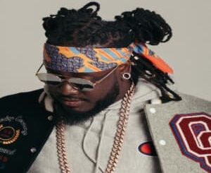 t-pain-la-oc_1030x438-300x300