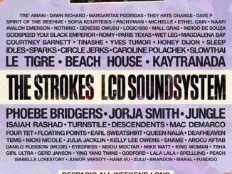 this-aint-no-picnic-festival 2022