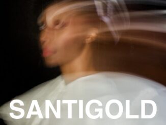santigold-2