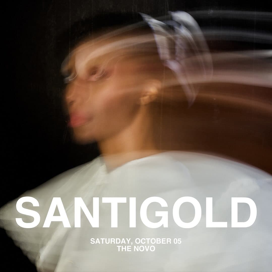 santigold-2