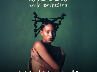 willow with orchestra-2