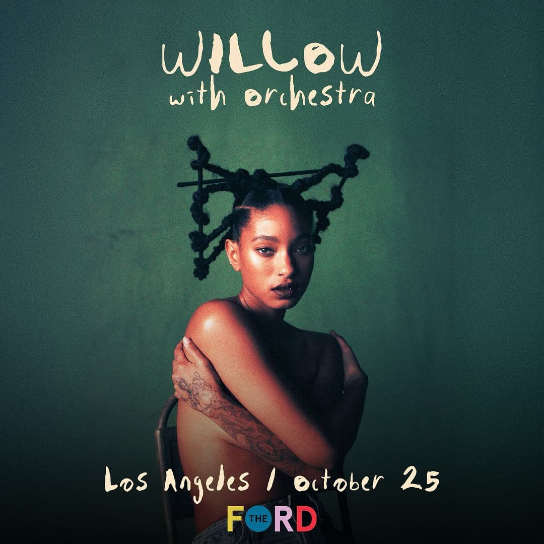 willow with orchestra-2