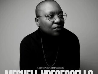 meshell ndegeocello-2