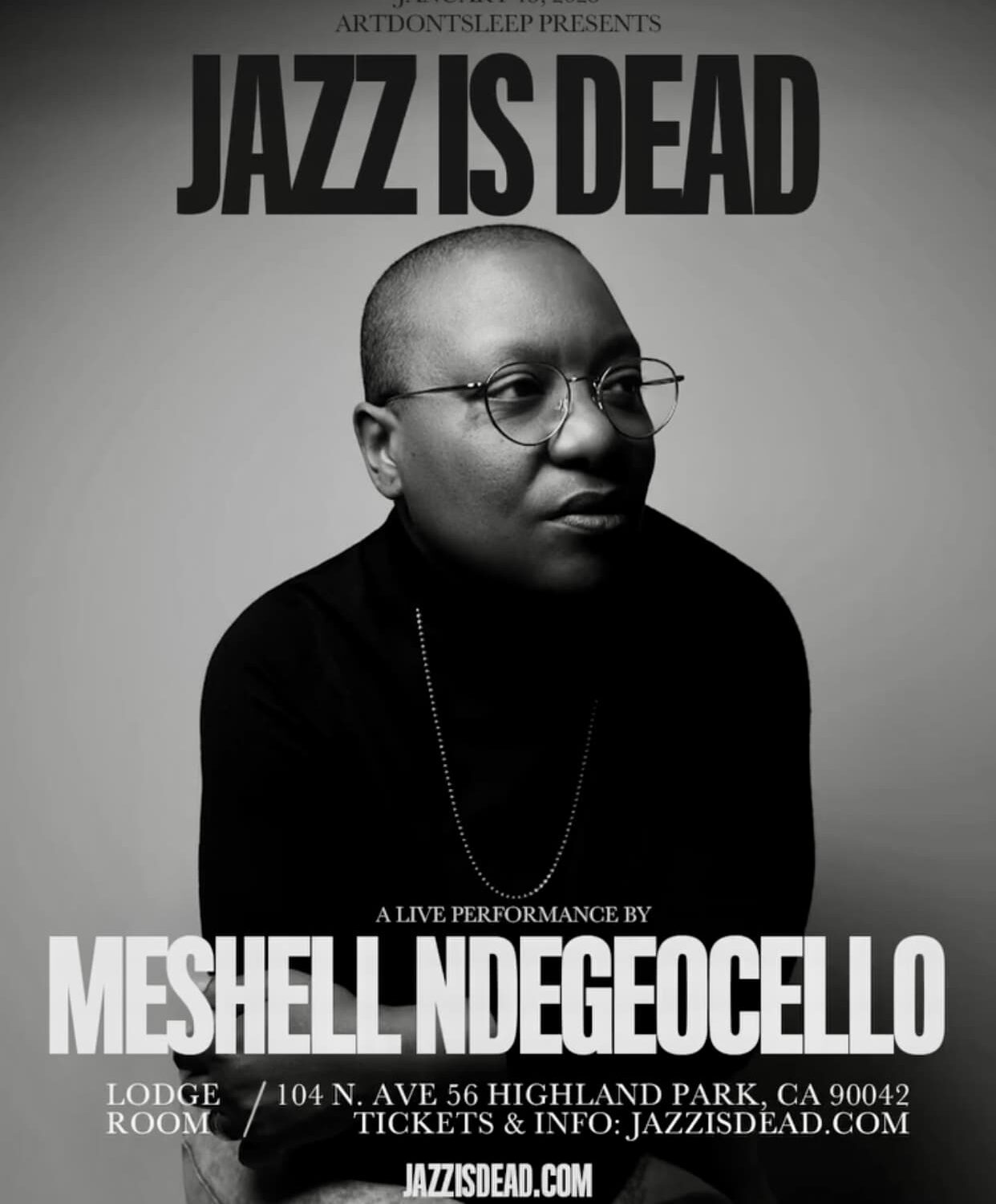 meshell ndegeocello-2