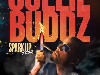 collie buddz-2