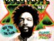 Black Market Flea - Questlove