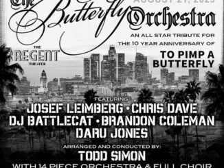 The Butterfly Orchestra