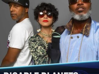 Digable Planets - Blue Note LA