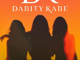 danity-kane-2