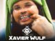 Xavier Wulf
