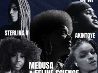 Medusa__Feline_Science_2_cropped