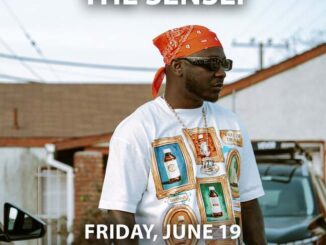 Wallie The Sensei -2
