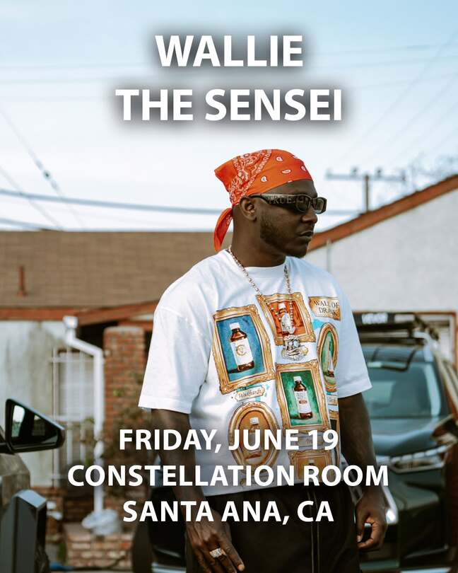 Wallie The Sensei -2